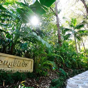  Villa Songbirds Rainforest Retreat